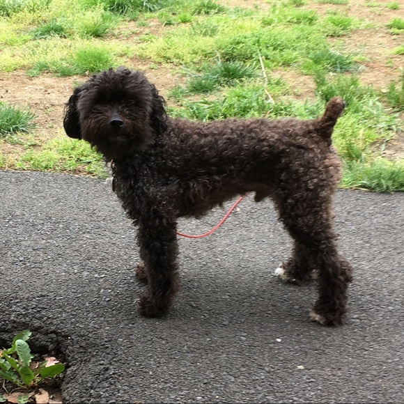 YAY ITS FULL!! TY!! ❤️ - Picture 5 of 6